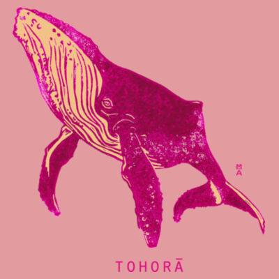 Tohorā Pink - AS Colour Kids Staple Tee Design